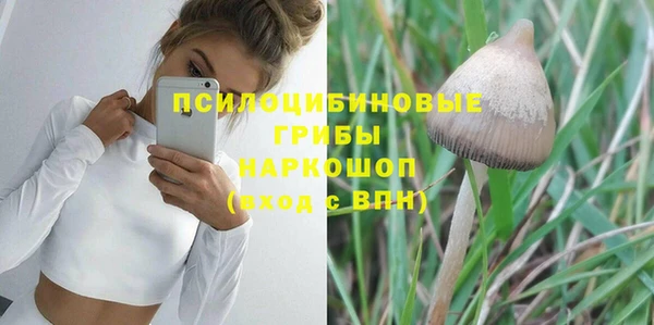 гашик Куйбышев