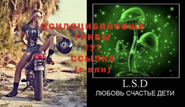 гашик Куйбышев