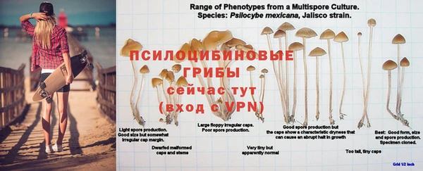гашик Куйбышев